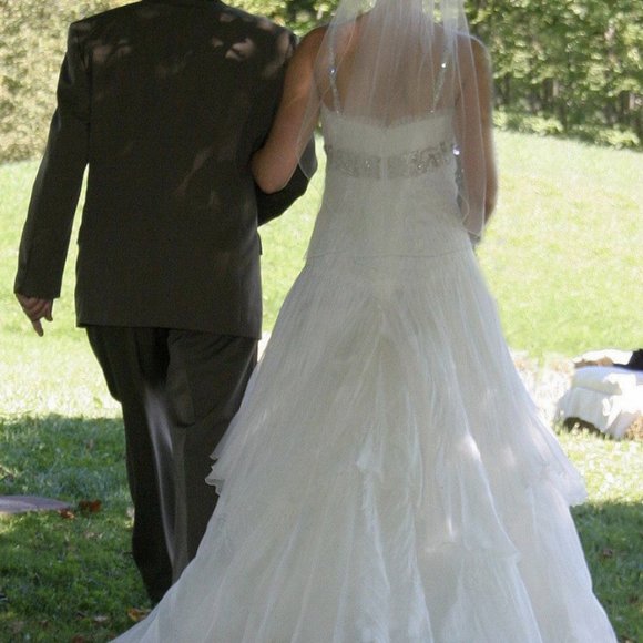 Pronovias Manuel Moto Wedding Dress - Picture 2 of 7